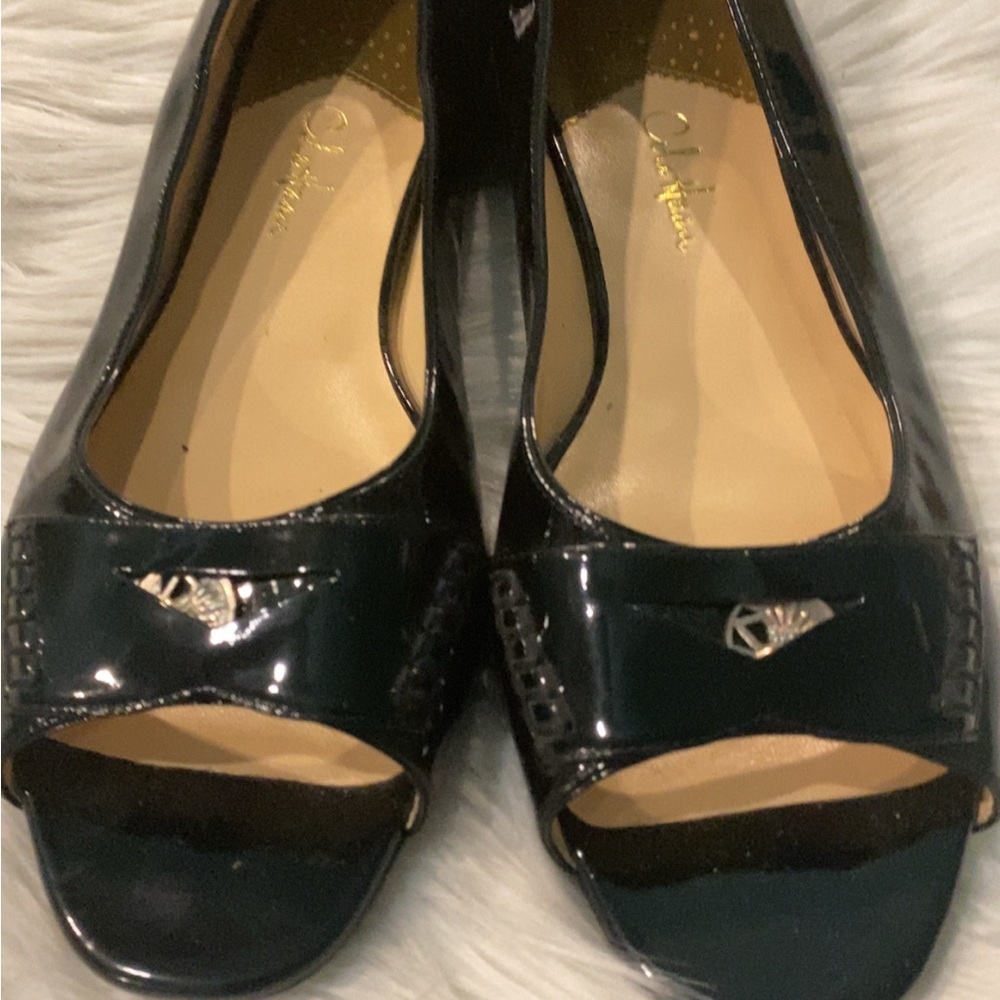 Elegant Black Peep-Toe Women's Shoes
